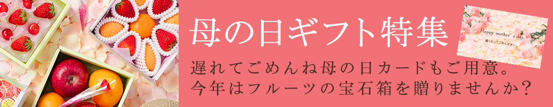 母の日ギフト