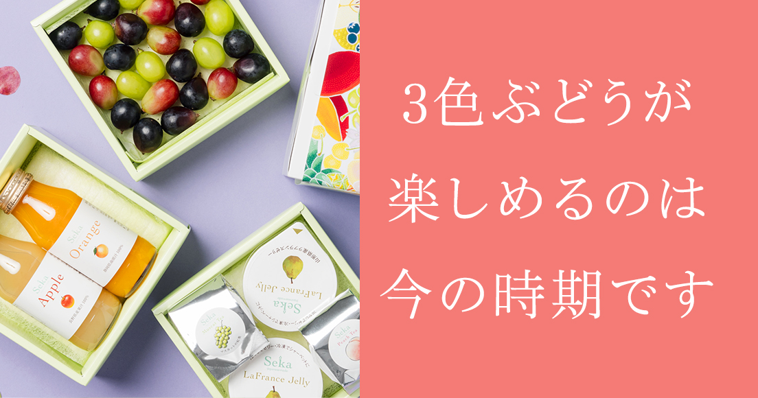 Seika（せいか）｜老舗仲卸船昌直営の国産フルーツギフト専門店