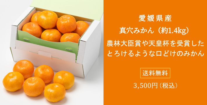 top-banner_l-jelly.jpg