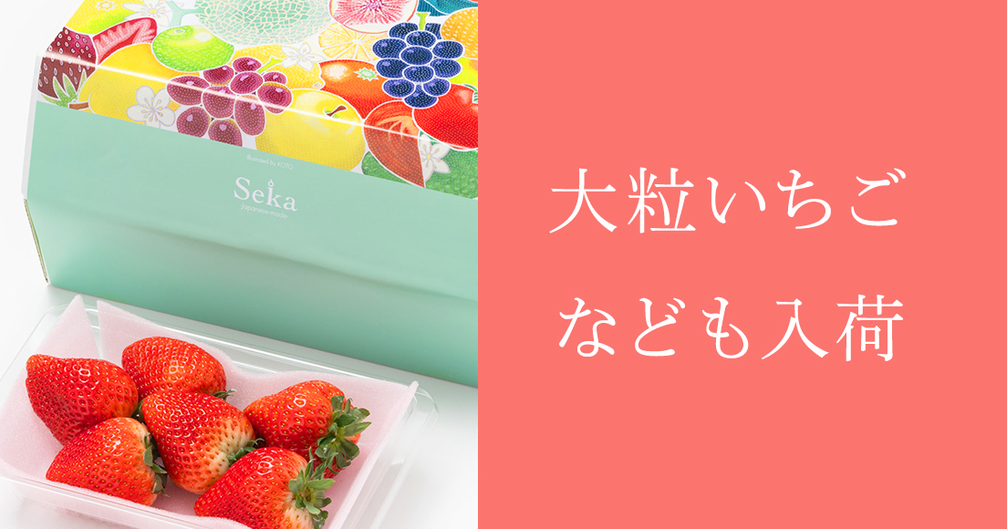 ⚠️本日のみ限定価格⚠️ SHINee セガコンプセット ⚠️本日のみ限定価格⚠️ SHINee セガコンプセット