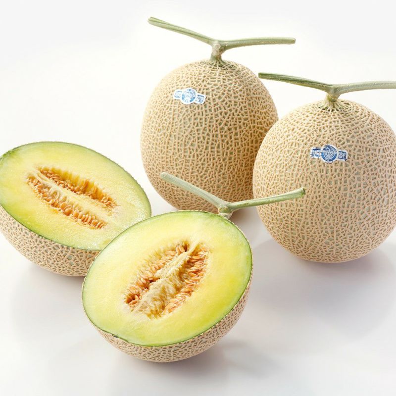 メロンSAR美品 最終受付/送料無料】メロン アールスメロン melon_earls_L2 大