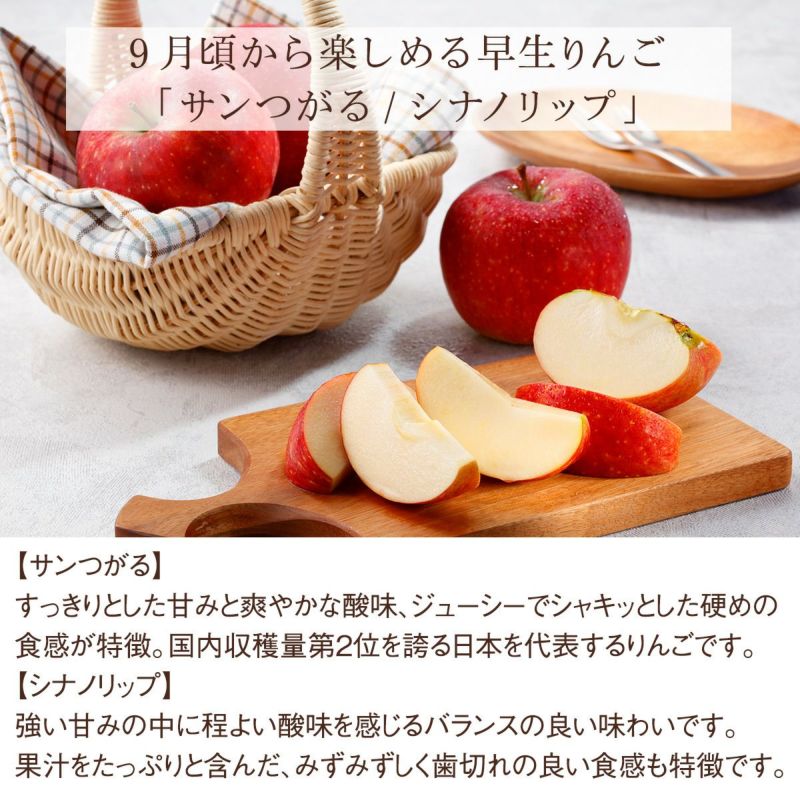 国産 赤玉りんご（7玉）｜Seika（せいか）国産フルーツギフト専門店
