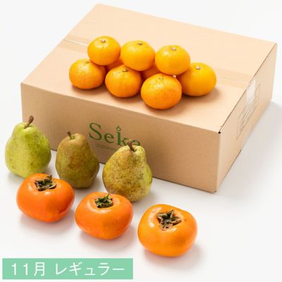 シャドウボックス完成品　フルーツ盛り合わせ シャドウボックス完成品 フルーツ盛り合わせ シャドウボックス