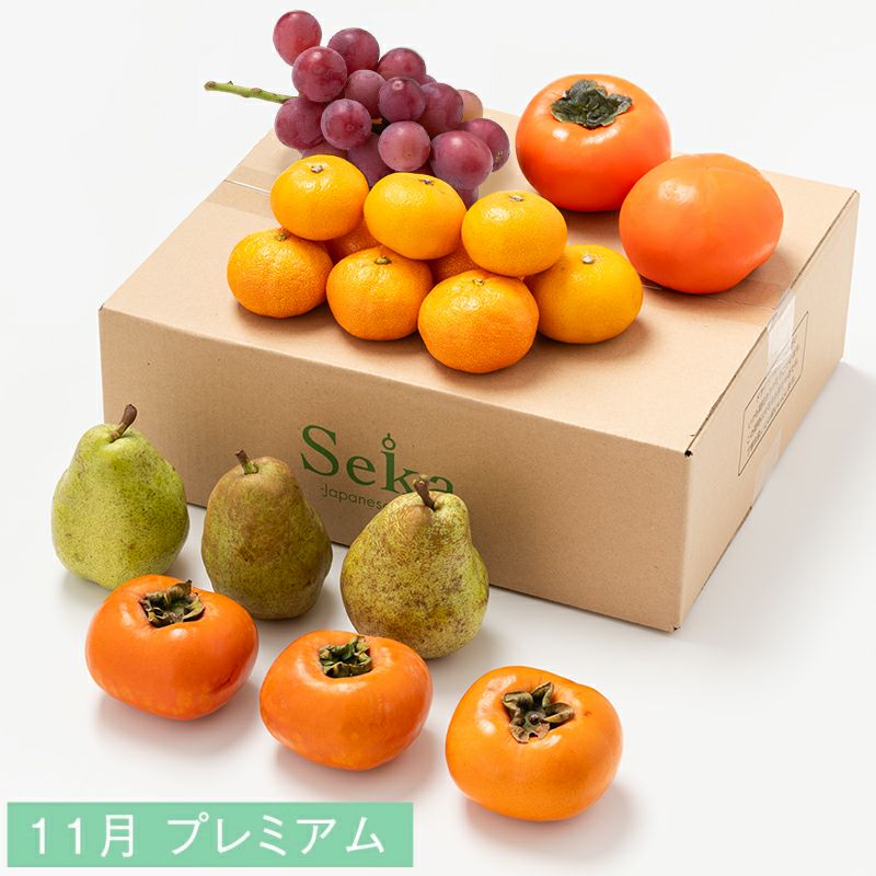 11月プレミアム