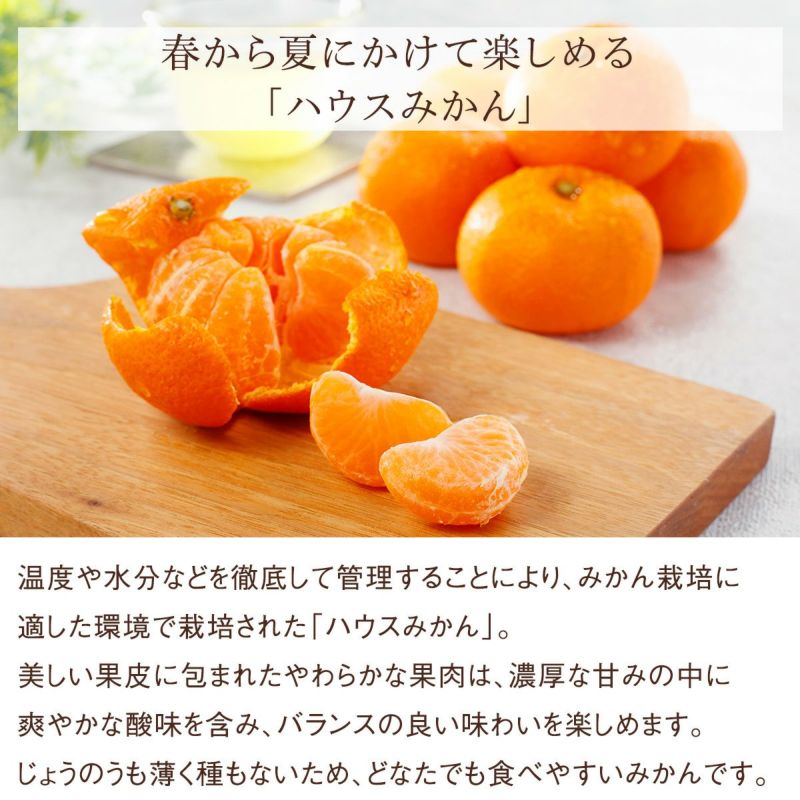 国産シャインマスカット（2カップ）、国産桃（2玉）、国産みかん（6玉）