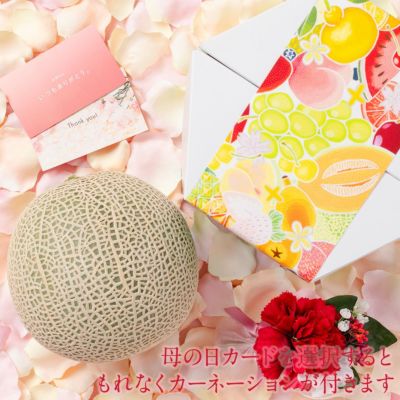 メロン用ボックス ｜Seika（せいか）国産フルーツギフト専門店