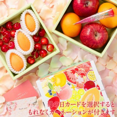 旬の国産プレミアムフルーツのミニお重セット