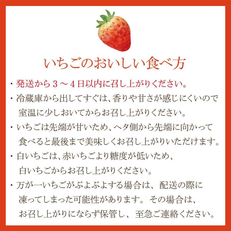 旬の国産紅白いちごの食べ比べと金柑のおめでとうギフト