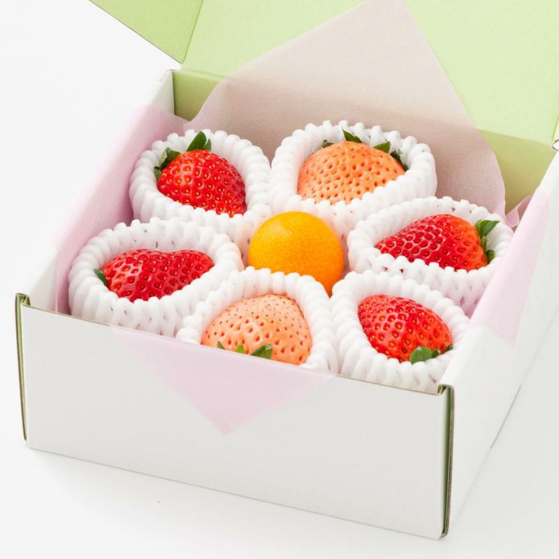 旬の国産紅白いちごの食べ比べと金柑のおめでとうギフト｜Seika（せい