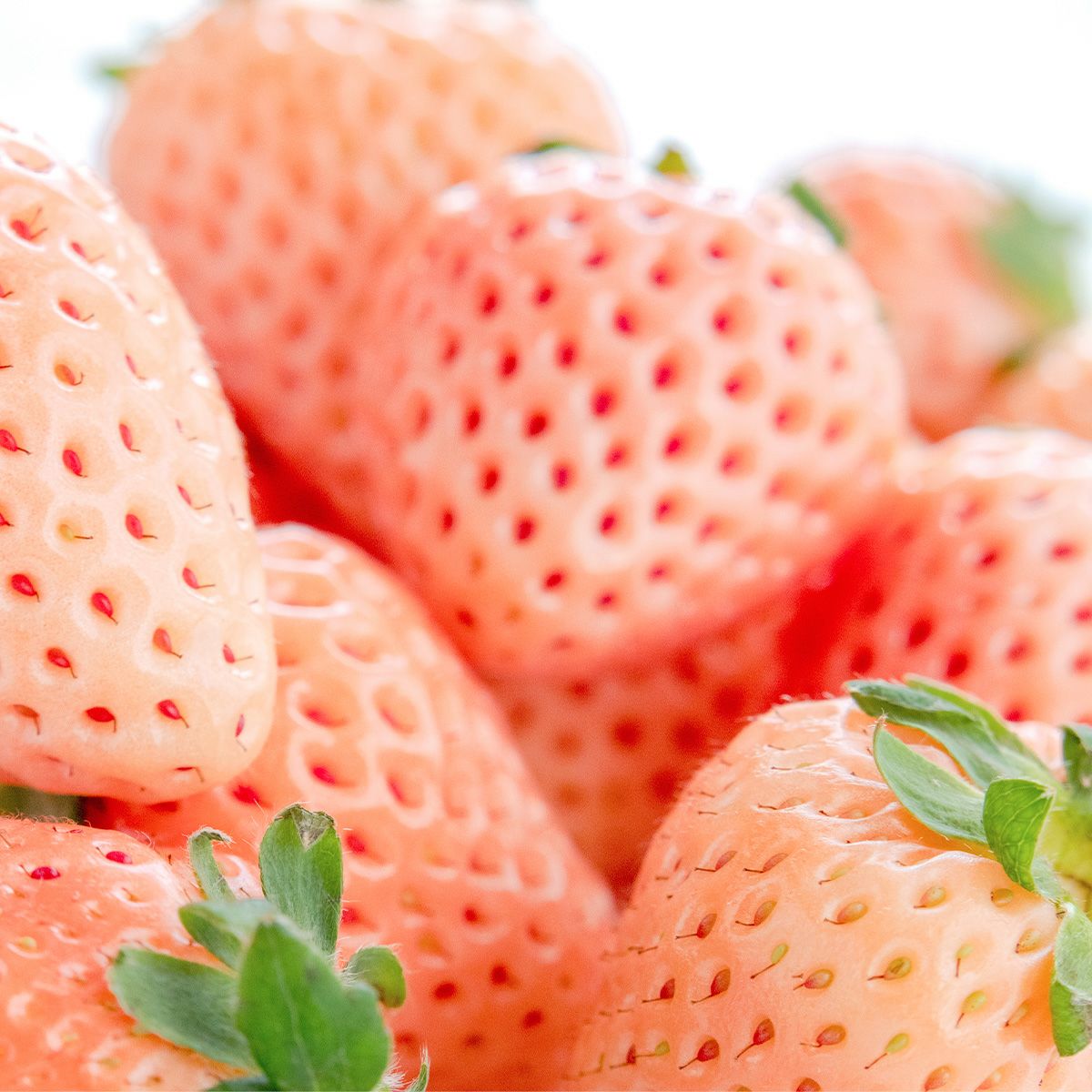 旬の国産紅白いちごの食べ比べと金柑のおめでとうギフト