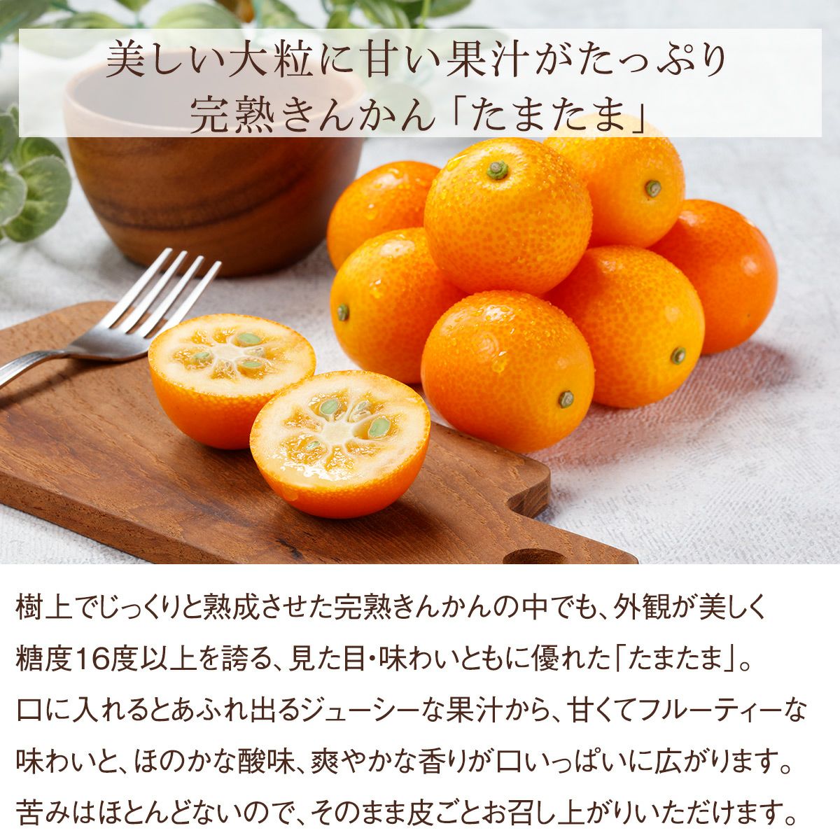 のし・メッセージカード