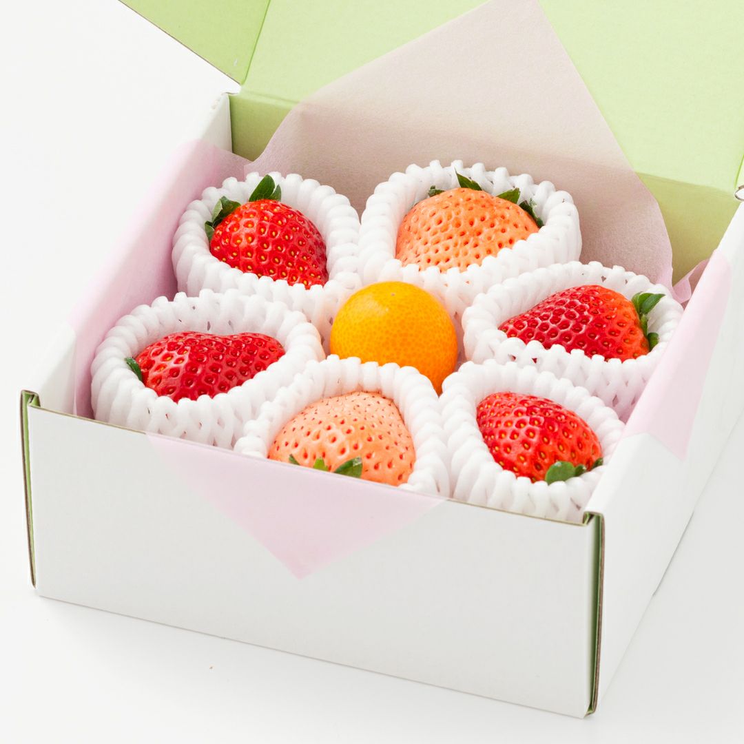 旬の国産紅白いちごの食べ比べと金柑のありがとうギフト