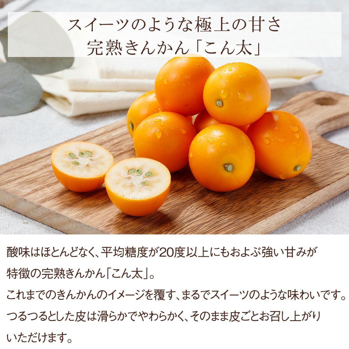 こん太