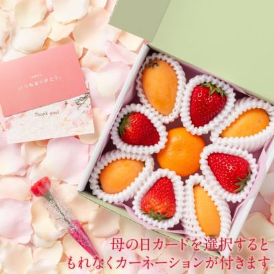 旬のフルーツミニお重セット ｜Seika（せいか）国産フルーツ