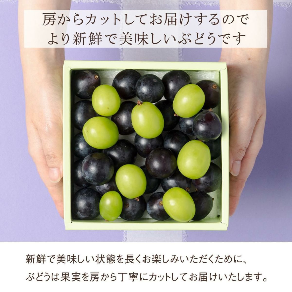 ぶどうについて