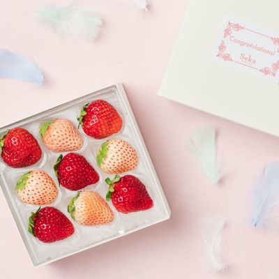 いちご ｜Seika（せいか）国産フルーツギフト専門店