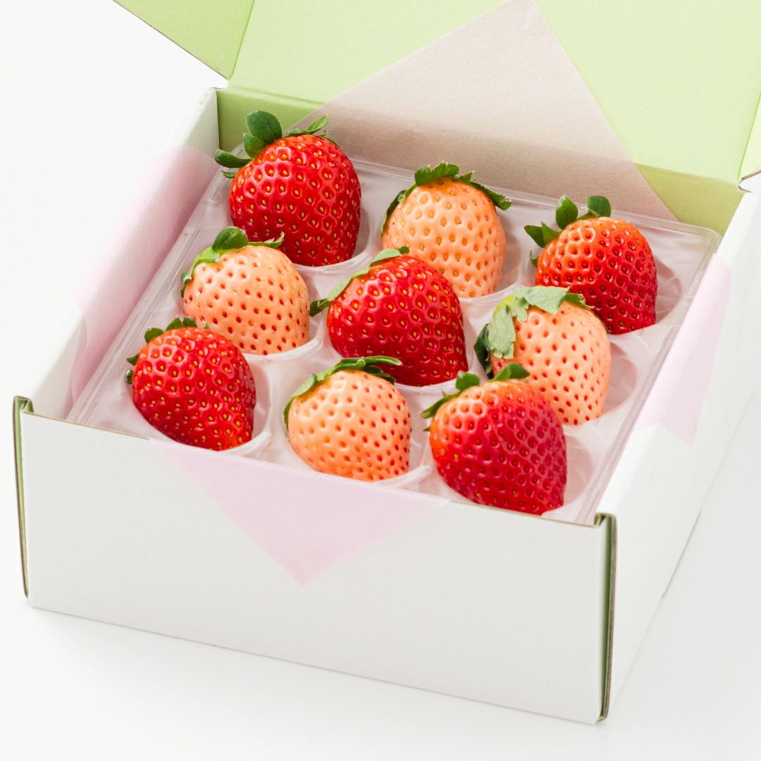 旬の国産紅白いちごの食べ比べ ありがとうギフト