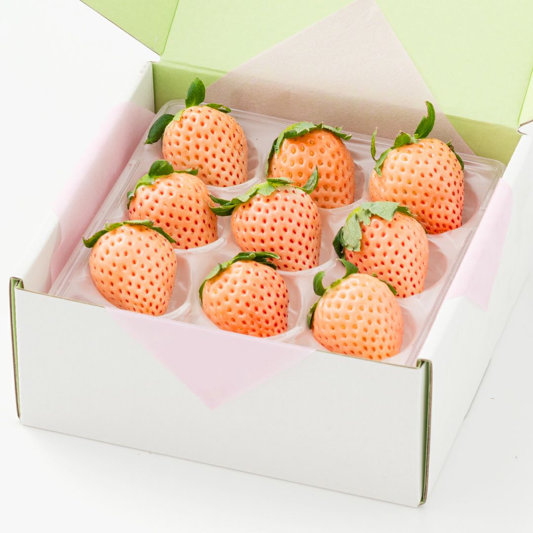 旬の国産白いちごのありがとうギフト