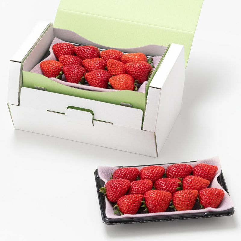 国産きらぴ香 いちご（2パック）