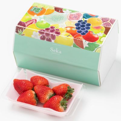 いちご ｜Seika（せいか）国産フルーツギフト専門店