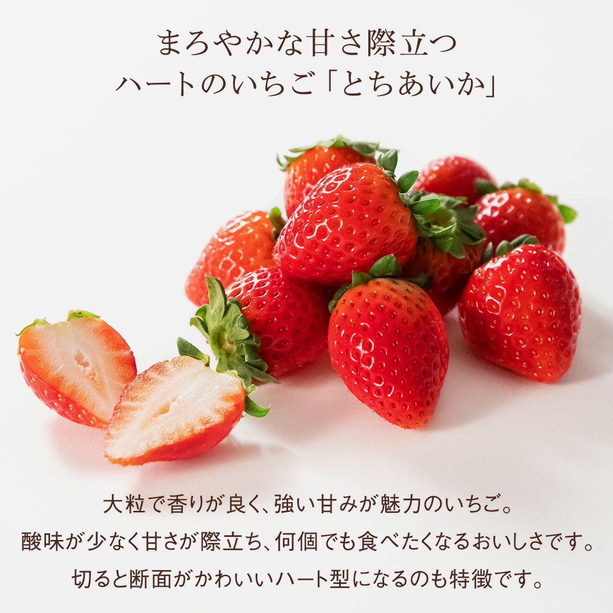 栃木県産大粒いちご とちあいか／とちおとめ（1パック）｜Seika（せい