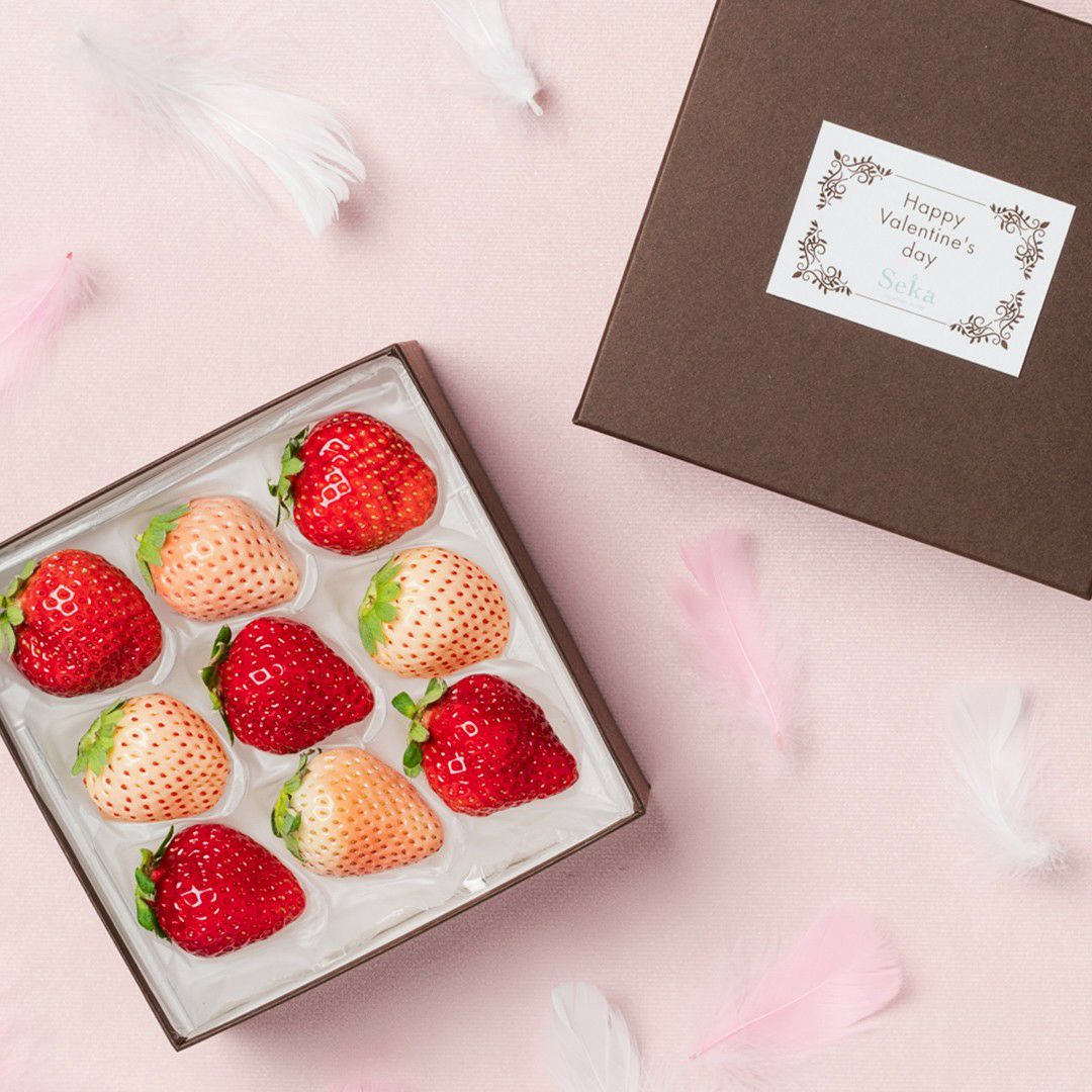 いちご ｜Seika（せいか）国産フルーツギフト専門店